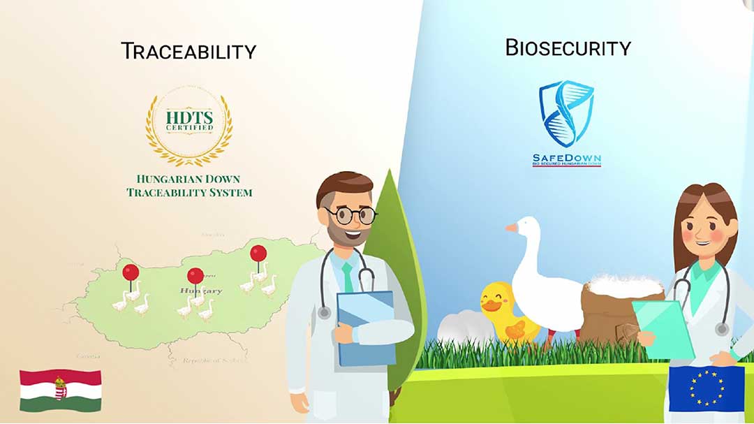 SafeDown Gallery Image 2